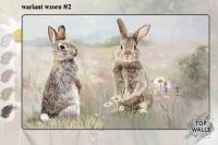 Rabbit image 8