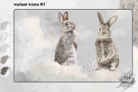 Rabbit image 9