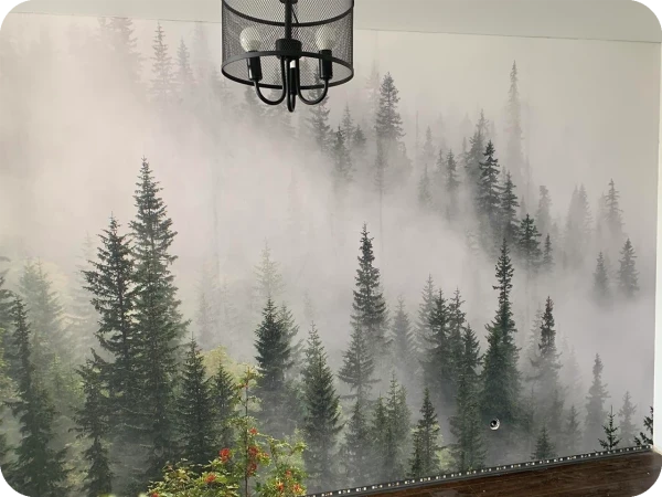 Agnieszka Postowska review images