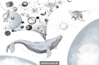 Balena image 5