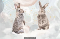 Rabbit image 5