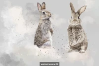 Rabbit image 7