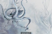 Octopum image 5
