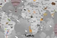 Turista image 3