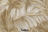 Aurum image 3