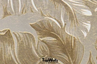 Aurum image 4