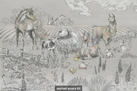 Amici image 8