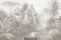 Jungla image 8
