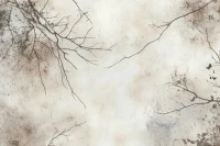 Sandora image 3