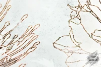 Liberum image 6