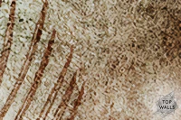 Tiana image 5