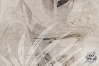Kleo image 5