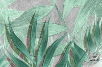 Verde image 5