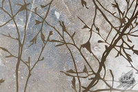 Vetve image 5