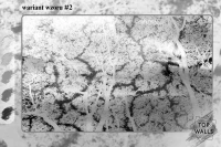 Amber image 8