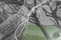Naturum image 6