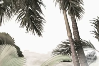Isla image 5