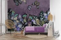 Farfalla image 3