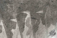 Batista image 6