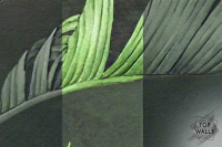 Tropicana image 6