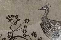 Paw image 5