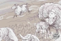 Animale image 6