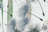 Indica image 5