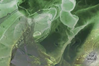 Smoky image 5