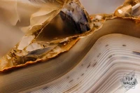 Ambra image 5