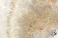Opalum image 5