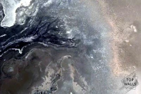 Cristallo image 6