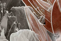 Omelus image 6
