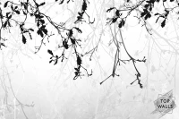 Secret image 5