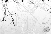 Secret image 6