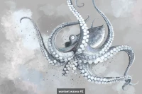 Octopus image 6