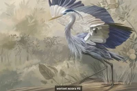 Volare image 6