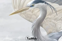 Volare image 3