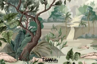 Oasa image 4