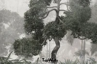 Baldur image 4