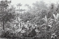 Noir image 5