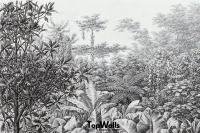 Noir image 3