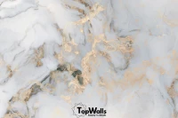 Marbel image 3