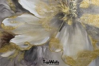 Aureum image 4
