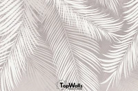 Palmera image 4
