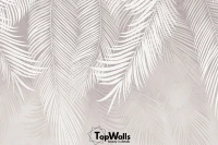 Palmera image 3