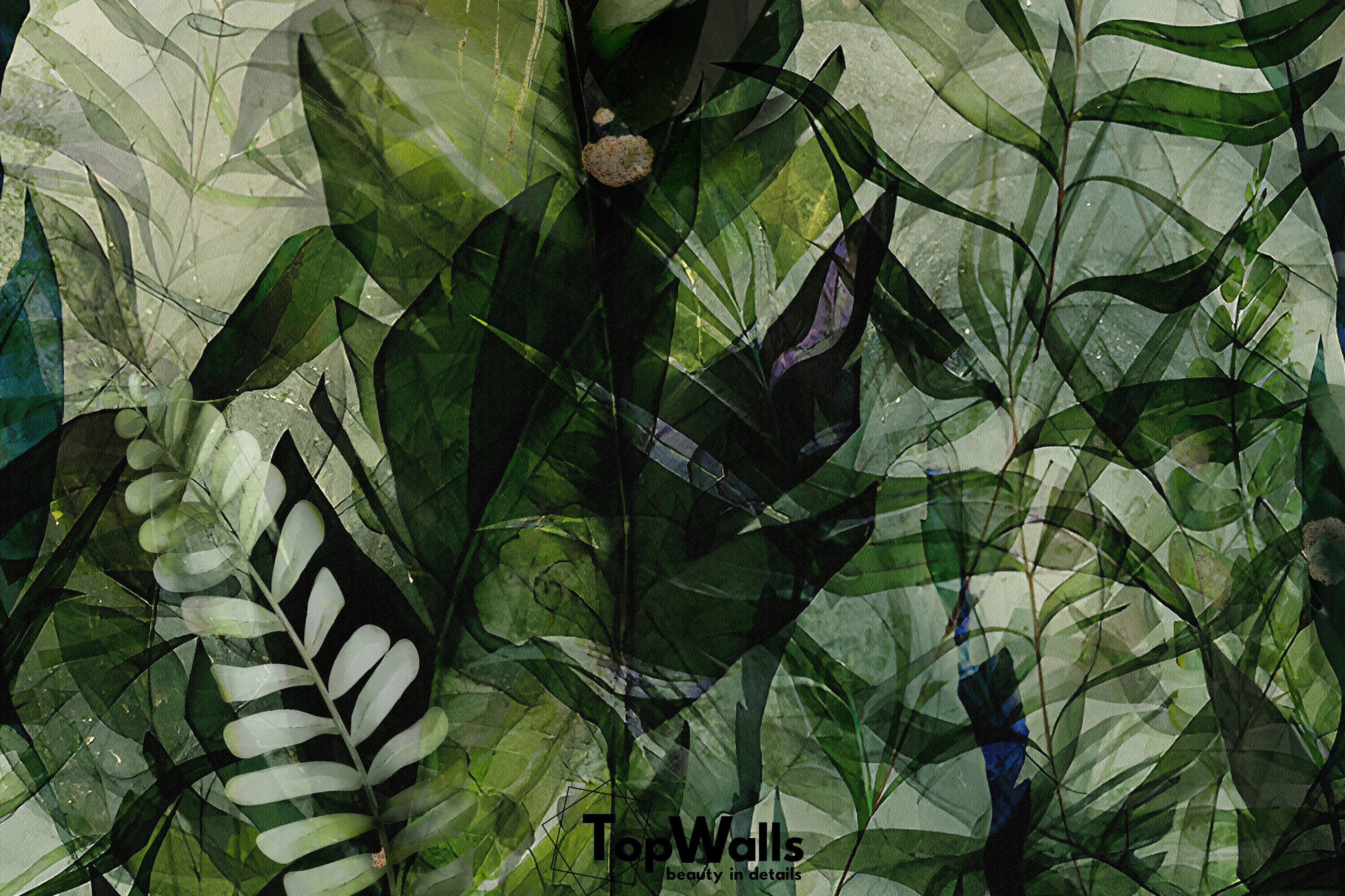 Selva