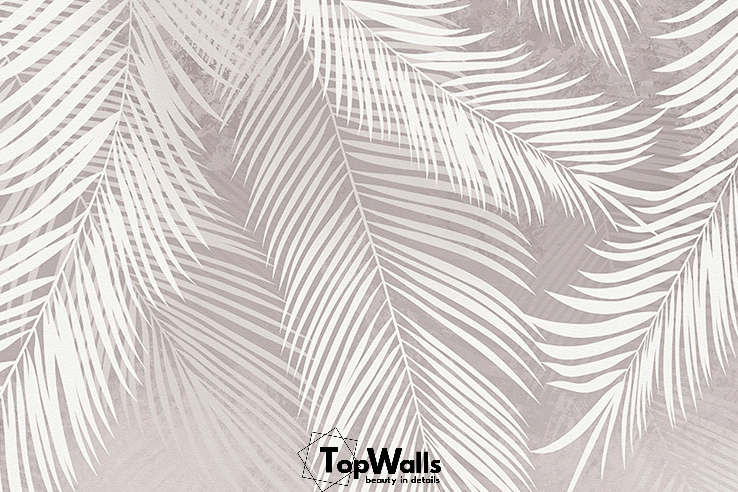 Palmera