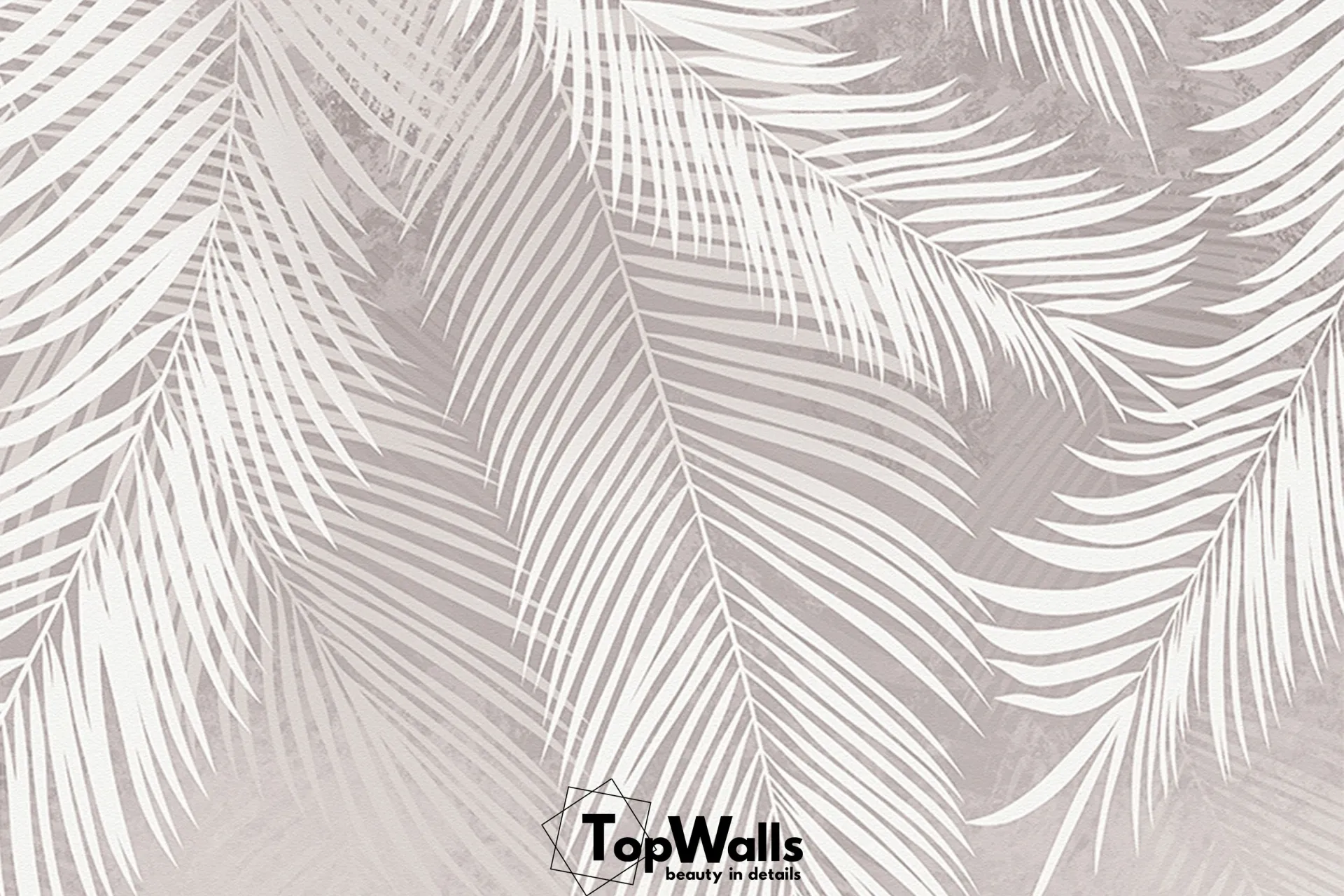 Palmera