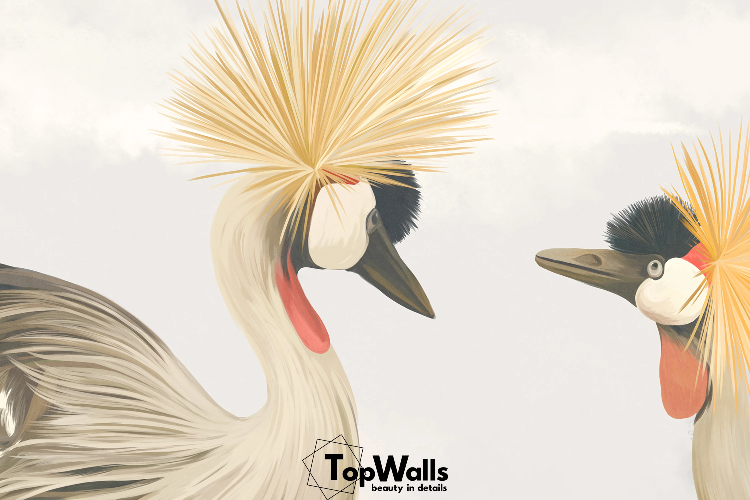 Pavone